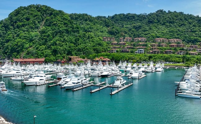 Sportangeltour ab Los Sueños Marina, Herradura