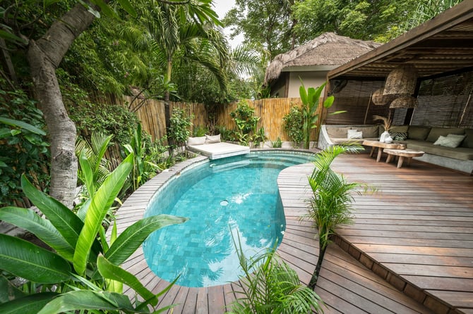 Direkt buchen und sparen: Warum unsere Preise in Costa Rica und Pinetop günstiger sind als auf Buchungsplattformen